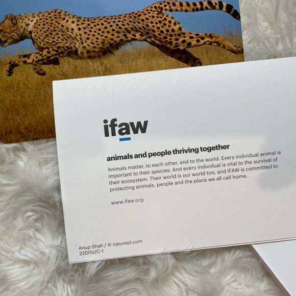 20 Assorted Cards Wild Animal blank inside - Picture 3 of 15